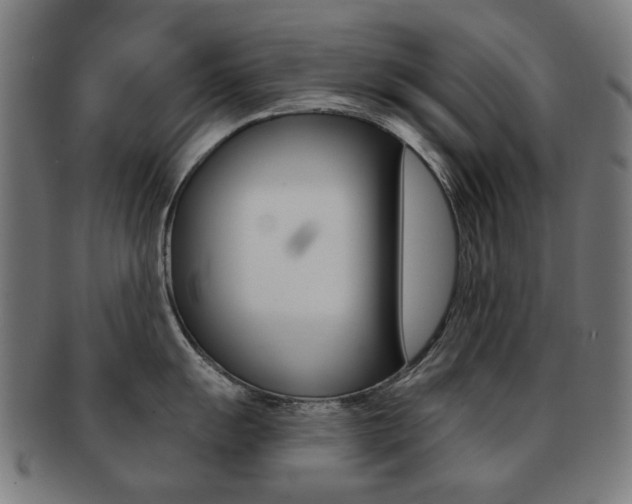 X0000091891055200709051041