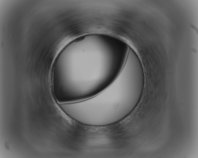 X0000091891056200709051041