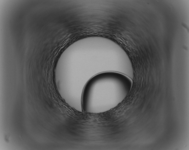 X0000091891057200709051040