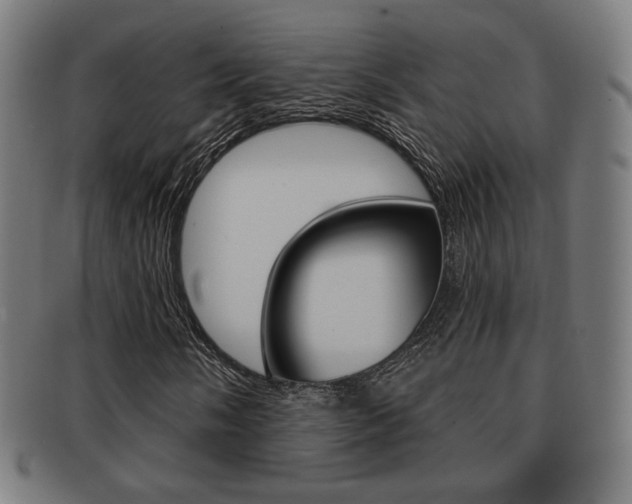 X0000091891058200709051040