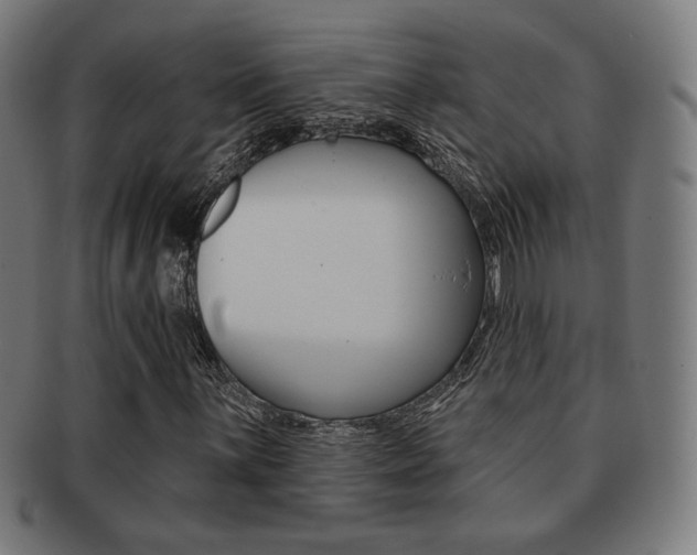 X0000091891059200709051040