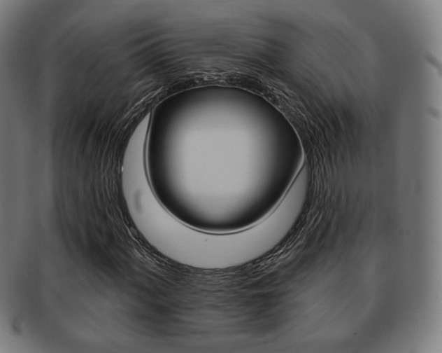X0000091891060200709051040
