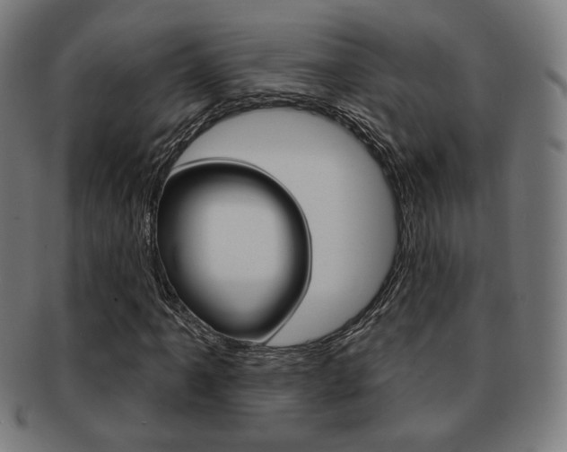 X0000091891061200709051040