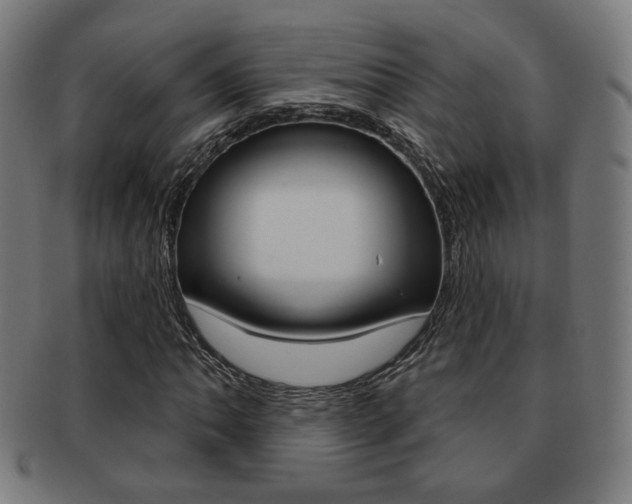 X0000091891062200709051040