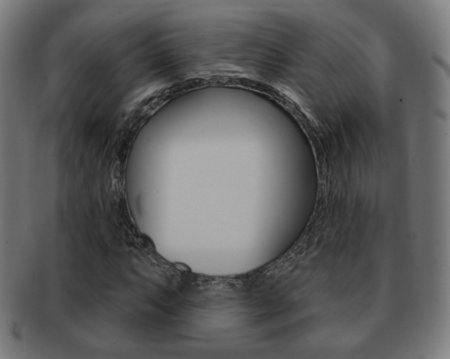 X0000091891063200709051040