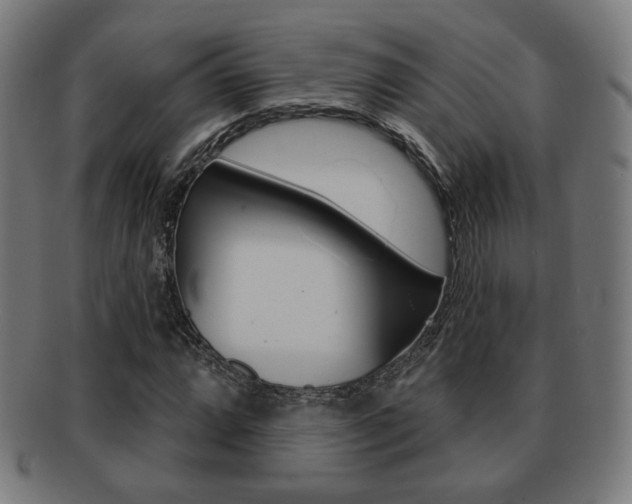 X0000091891064200709051040