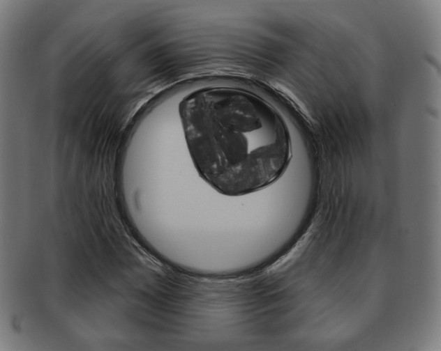X0000091891065200709051040
