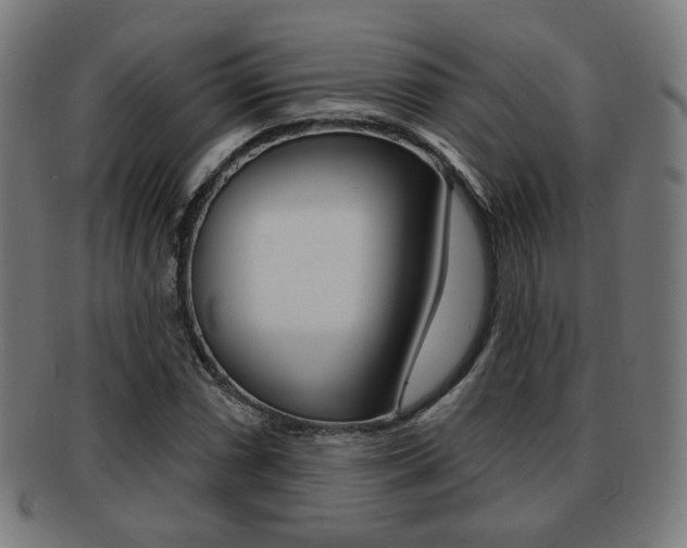 X0000091891066200709051040