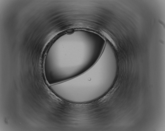 X0000091891068200709051040