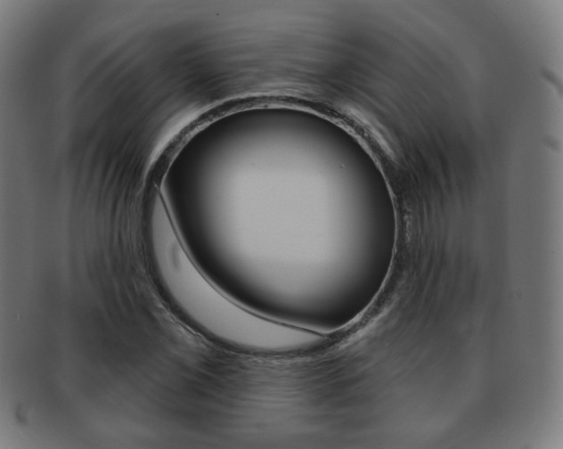 X0000091891069200709051040