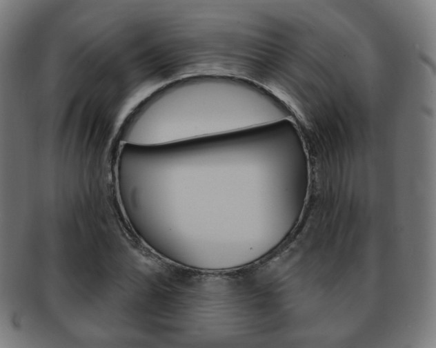 X0000091891070200709051040