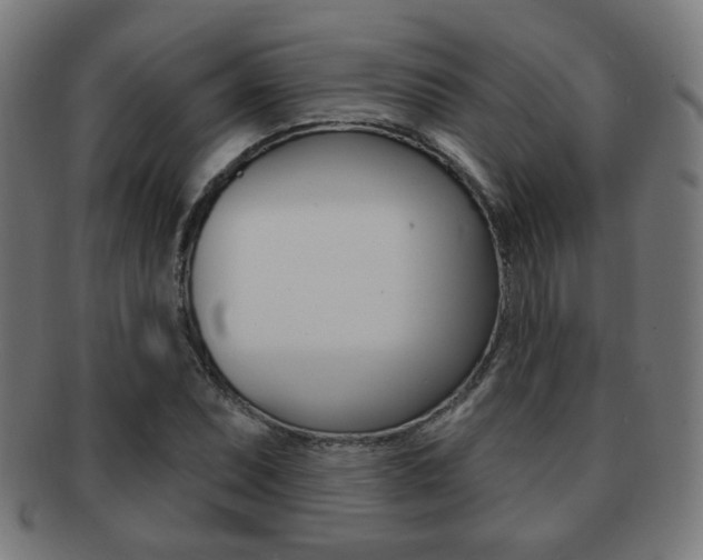 X0000091891071200709051040