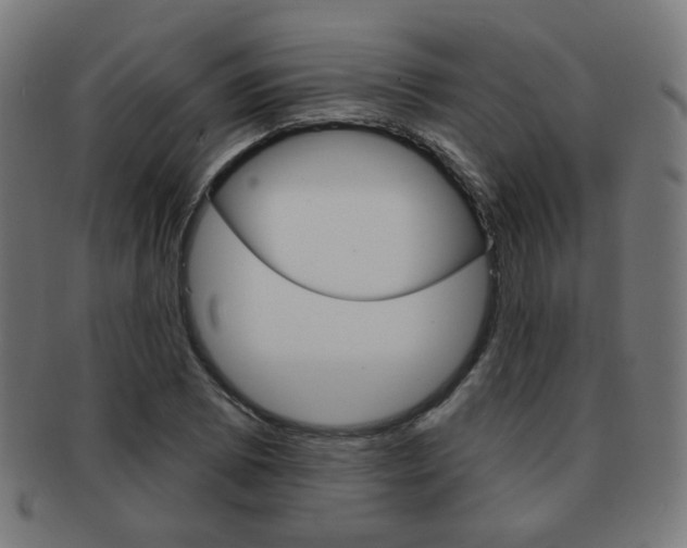 X0000091891073200709051040