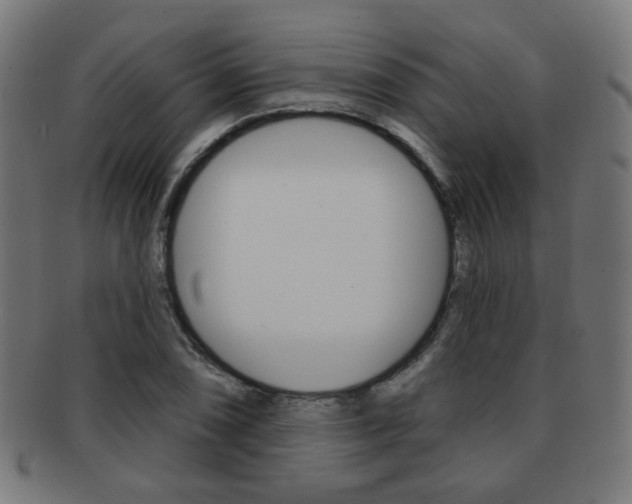 X0000091891074200709051040