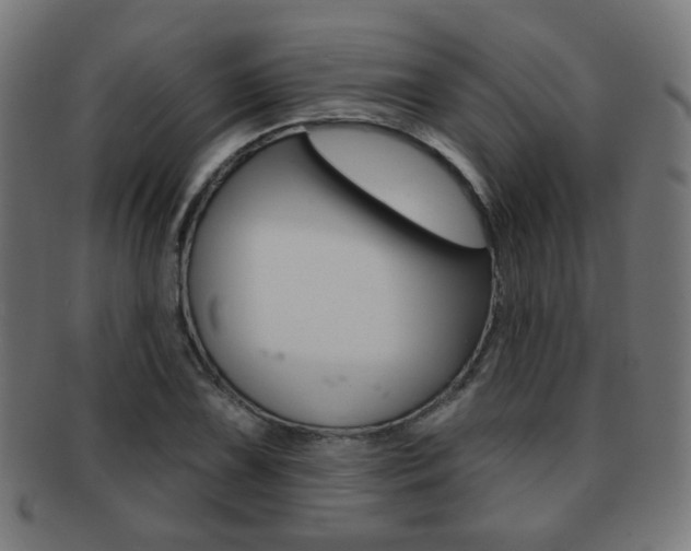 X0000091891075200709051040