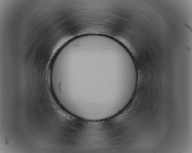 X0000091891078200709051040