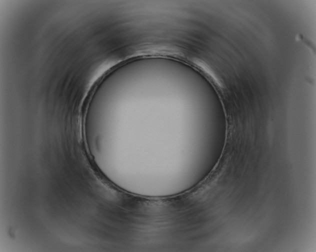 X0000091891079200709051040