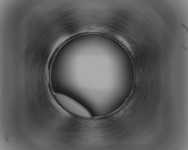 X0000091891080200709051040
