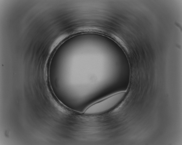 X0000091891082200709051040