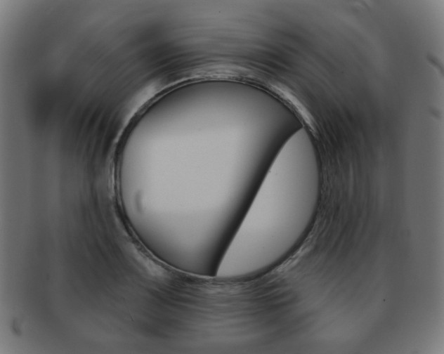 X0000091891083200709051040