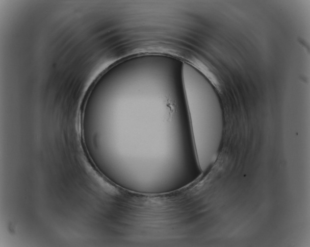 X0000091891084200709051040