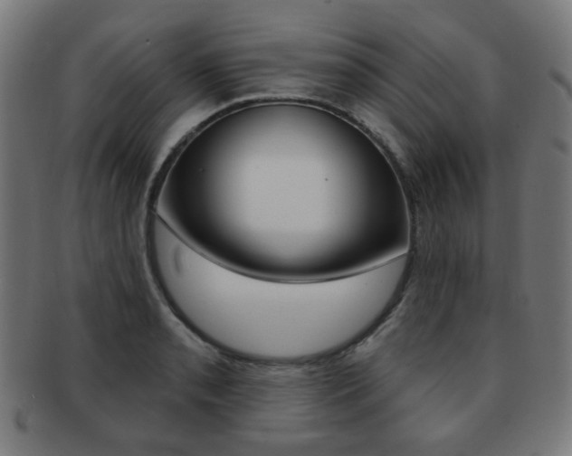 X0000091891085200709051040