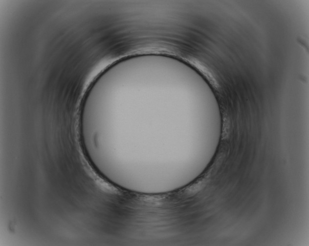 X0000091891086200709051040