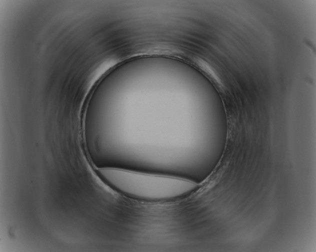 X0000091891087200709051040