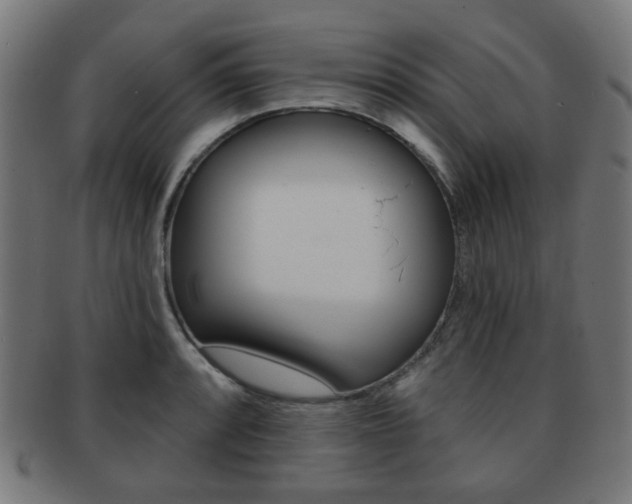X0000091891088200709051040