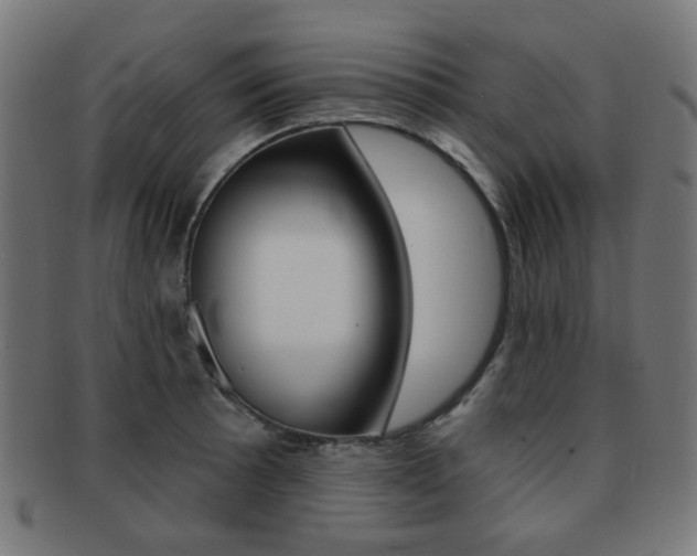 X0000091891089200709051040