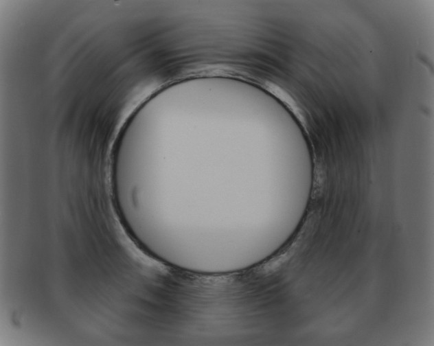 X0000091891090200709051040
