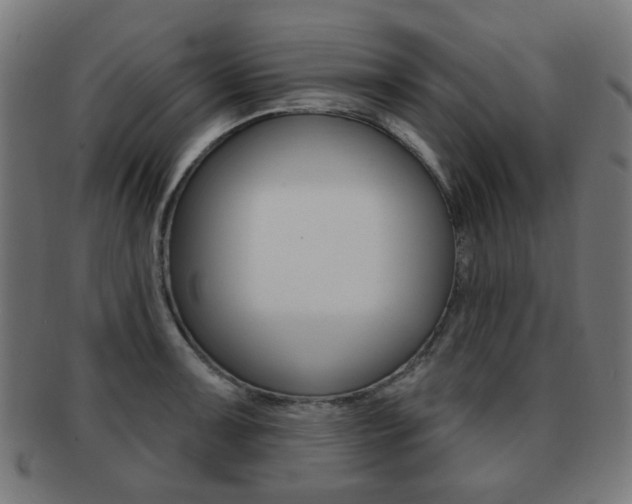 X0000091891091200709051040