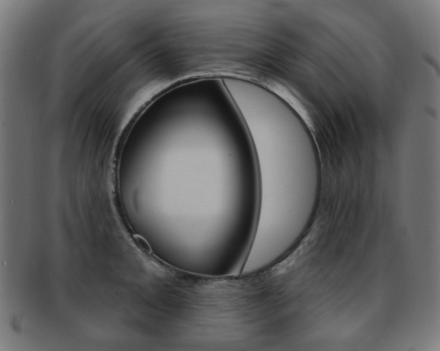 X0000091891093200709051040