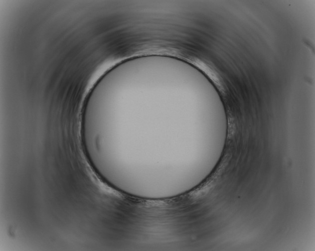 X0000091891094200709051040