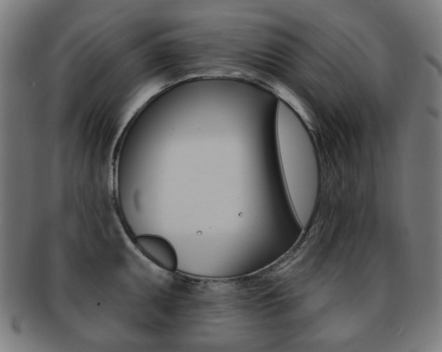 X0000091891095200709051040