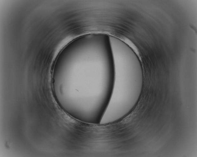 X0000091891096200709051040