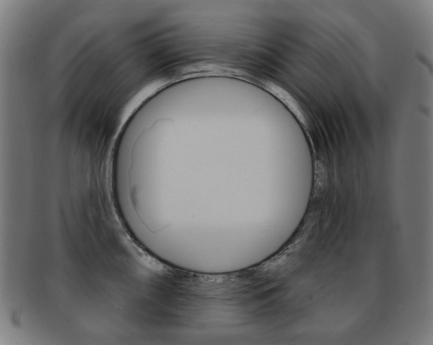 X0000091891098200709051040