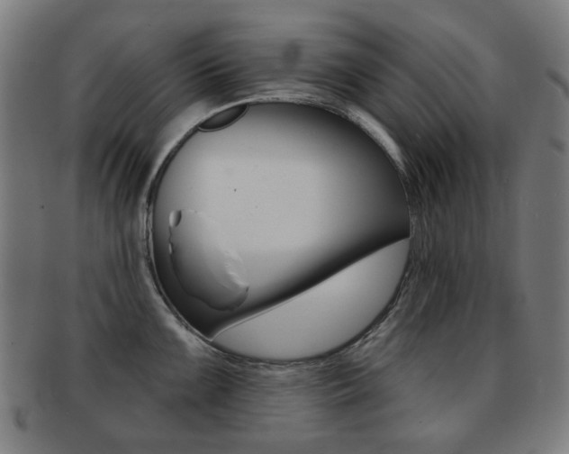 X0000091891099200709051040