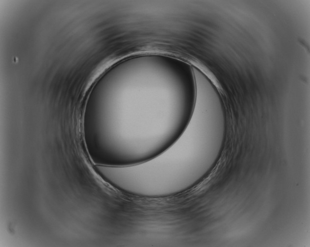 X0000091891101200709051040
