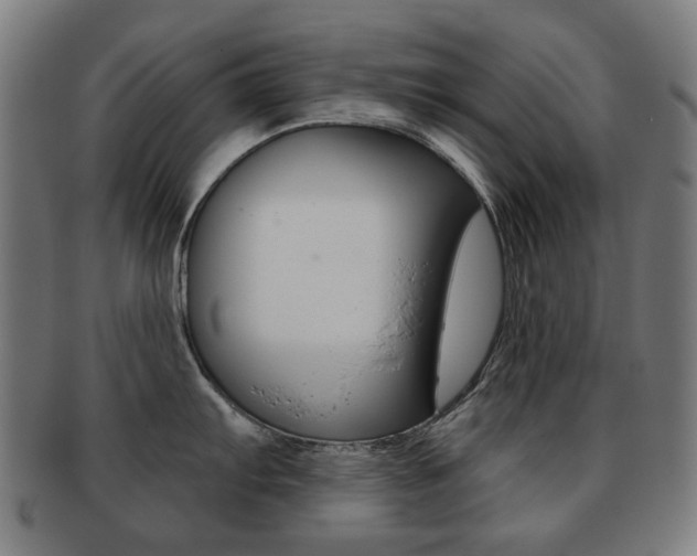 X0000091891103200709051040