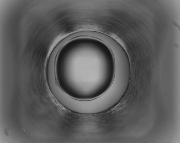 X0000091891104200709051040