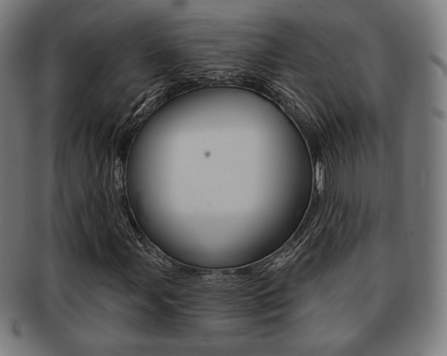 X0000091891107200709051039