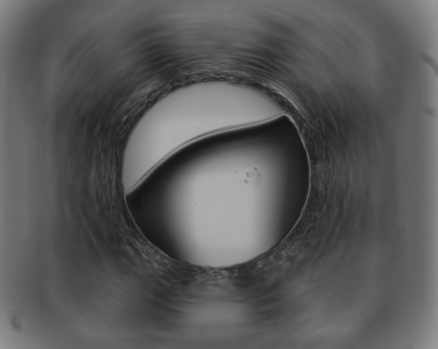 X0000091891111200709051039