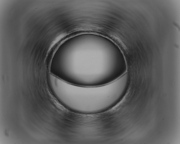 X0000091891114200709051039