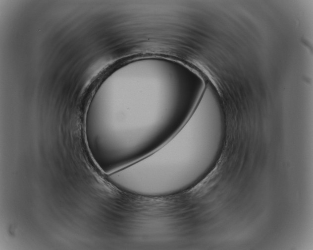 X0000091891115200709051039