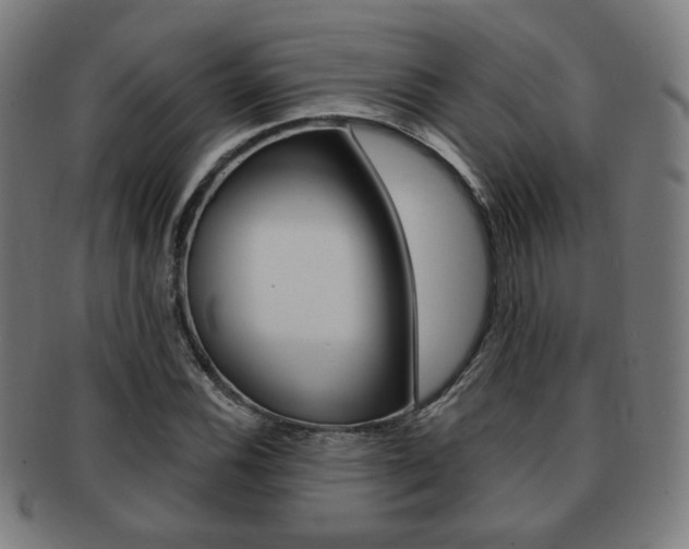 X0000091891116200709051039