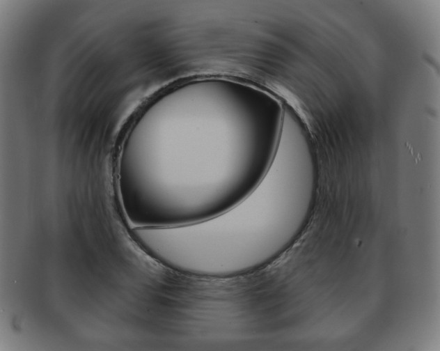 X0000091891120200709051039