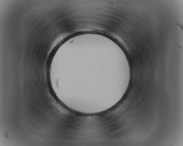 X0000091891122200709051039