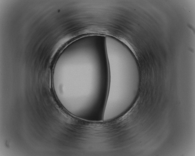 X0000091891123200709051039