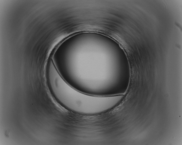 X0000091891128200709051039